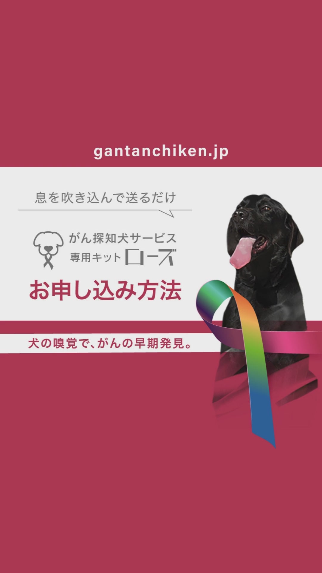 動画を読み込む: 